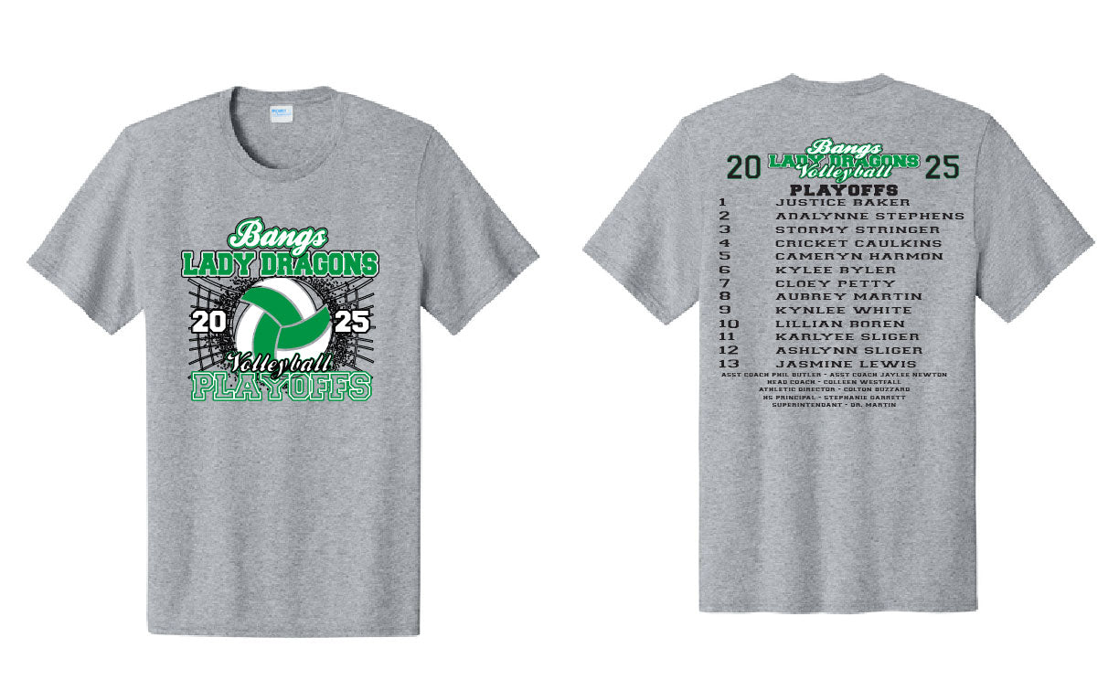 Lady Dragons Volleyball Playoffs