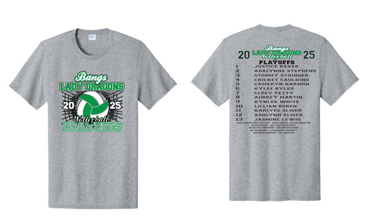 Lady Dragons Volleyball Playoffs